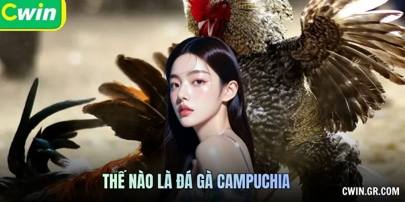Thế nào là đá gà campuchia