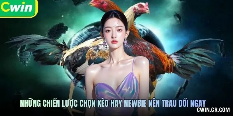 Những chiến lược chọn kèo hay newbie nên trau dồi ngay