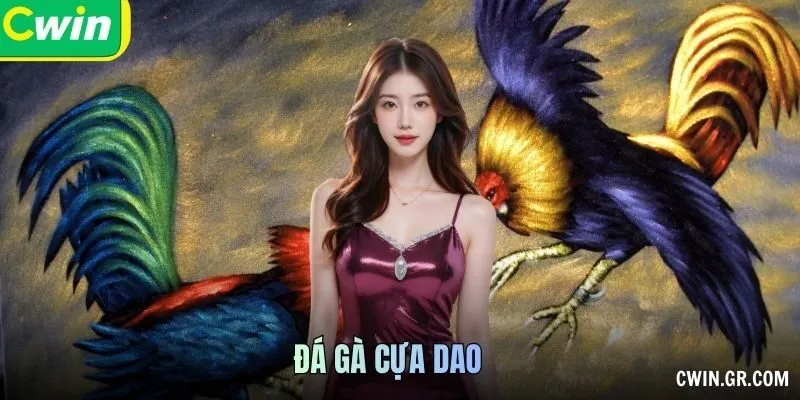 Đá Gà Cựa Dao – Trải Nghiệm Tốc Độ, Sống Trọn Đam Mê